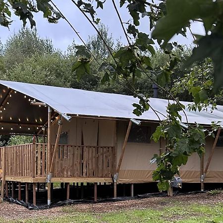 Cherry Tree Safari Lodge Talaton Kültér fotó