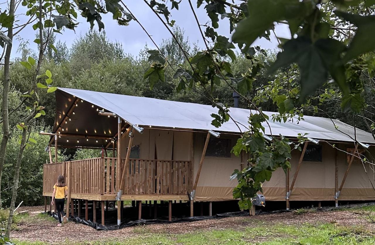 Cherry Tree Safari Lodge Talaton Kültér fotó